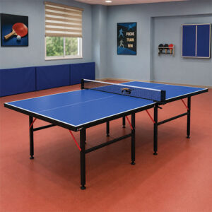 Table Tennis (Basic Model)