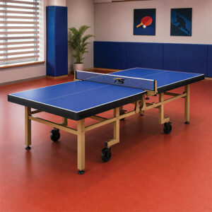 Table Tennis (Professional Model)